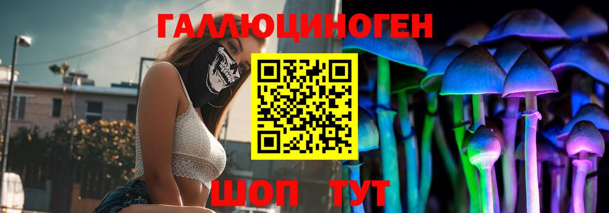 Галлюциногенные грибы Cubensis  Галлюциногенные грибы мицелий  Курчалой  Вход с VPN 